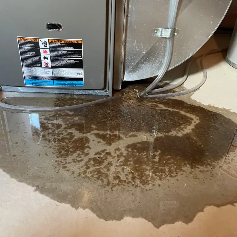 Appliance Leak Cleanup in Goodwater, AL